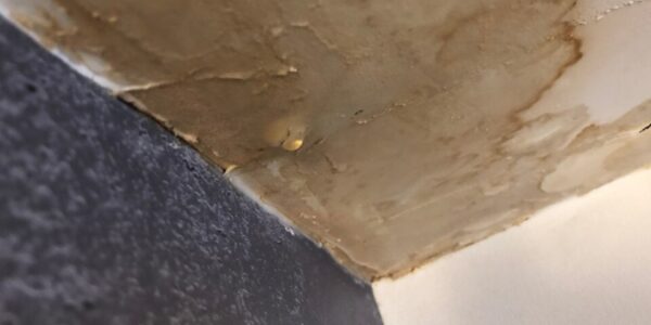 Foundation Water Damage Repair Cost